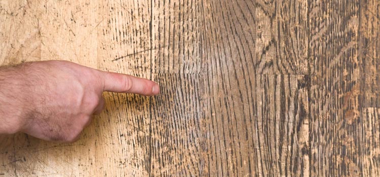 Wood Door Scratch Repair in Stockton